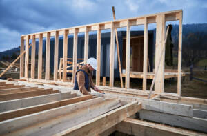 dom szkieletowy vs dom murowany